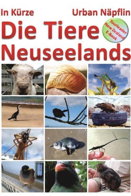 Urban Napflin - Die Tiere Neuseelands in Kuerze, E-bok. Tillgänglighet: Lägg i varukorg