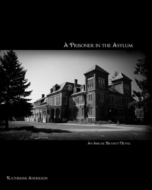 Katherine Anderson - Prisoner in the Asylum, E-bok