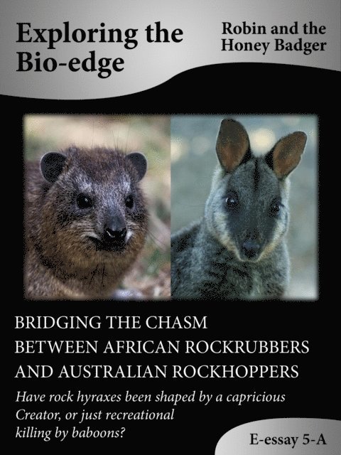 Robin and the Honey Badger - Bridging The Chasm Between African Rockrubbers And Australian Rockhoppers, E-bok. Tillgänglighet: Lägg i varukorg