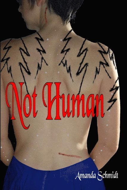 Amanda Schmidt - Not Human, E-bok