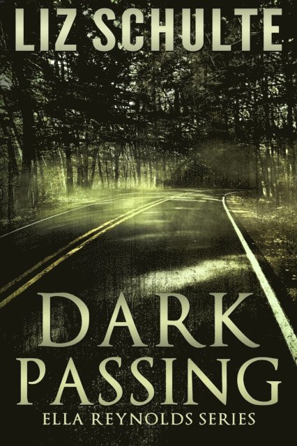 Liz Schulte - Dark Passing, E-bok