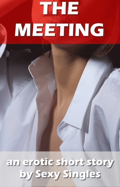 Sexy Singles - Meeting, E-bok