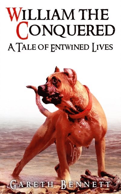 Gareth Bennett - William the Conquered: a Tale of Entwined Lives, E-bok