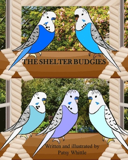 Shelter Budgies