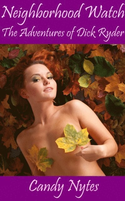 Candy Nytes - Neighborhood Watch: The Adventures of Dick Ryder, E-bok