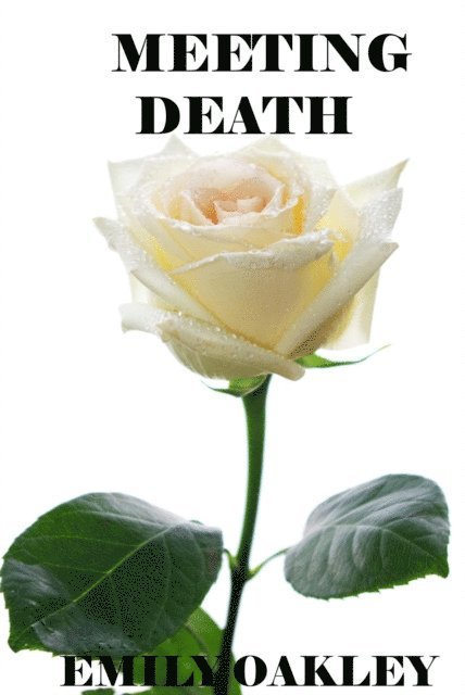Emily Oakley - Meeting Death, E-bok