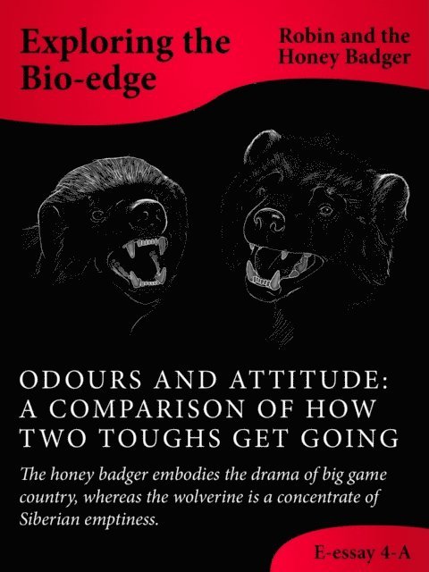 Robin and the Honey Badger - Odours And Attitude: A Comparison Of How Two Toughs Get Going, E-bok. Tillgänglighet: Lägg i varukorg