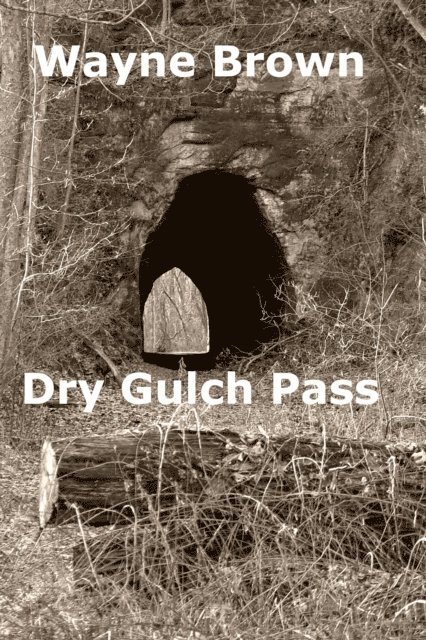 Wayne Brown - Dry Gulch Pass, E-bok