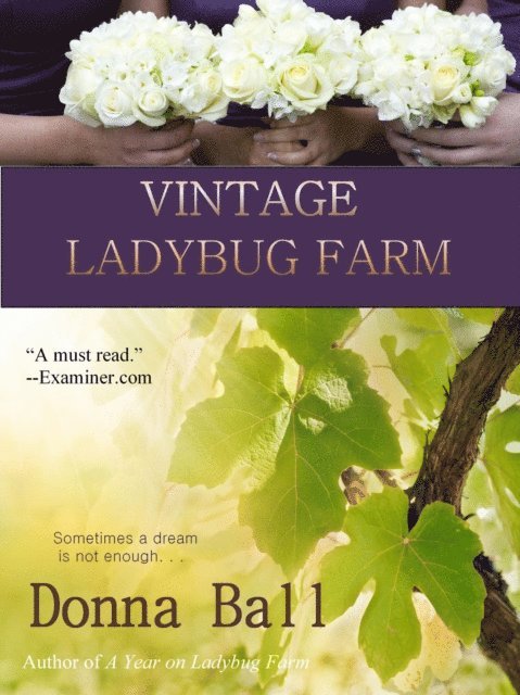 Donna Ball - Vintage Ladybug Farm, E-bok