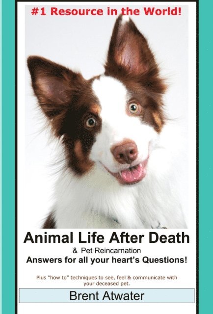 Brent Atwater - Animal Life after Death & Animal Reincarnation- Everything You Always wanted to Know! After-Death Do Animals Go to Heaven?, E-bok. Tillgänglighet: Lägg i varukorg