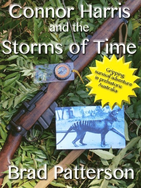 Brad Patterson - Connor Harris and the Storms of Time, E-bok
