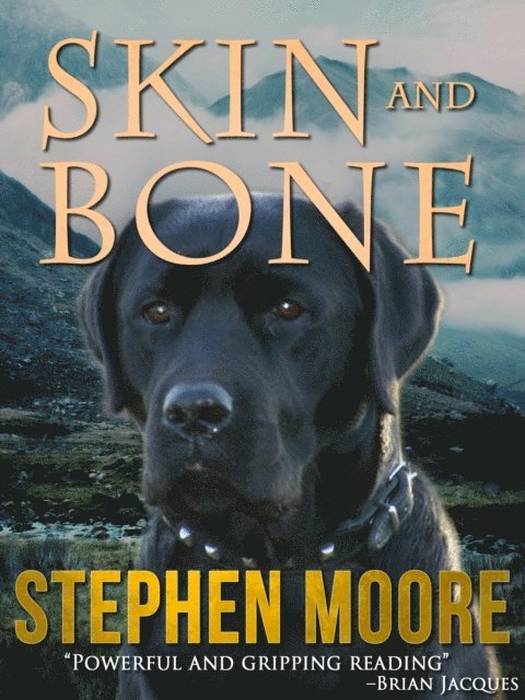 Stephen Moore - Skin and Bone, E-bok