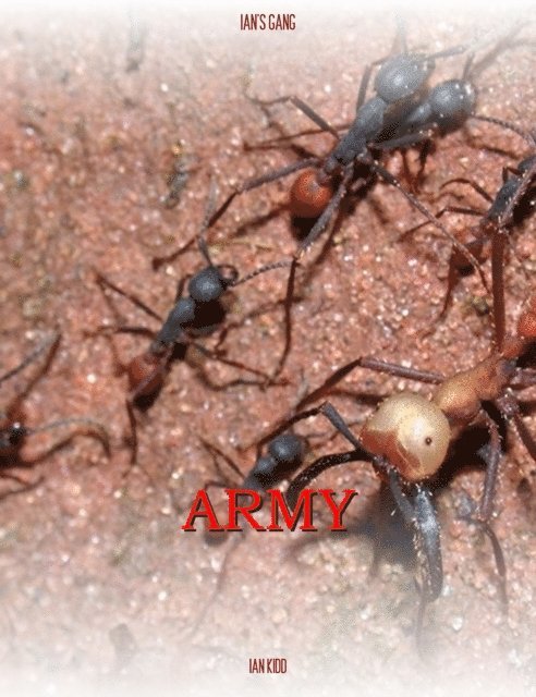 Ian Kidd - Ian's Gang: Army, E-bok