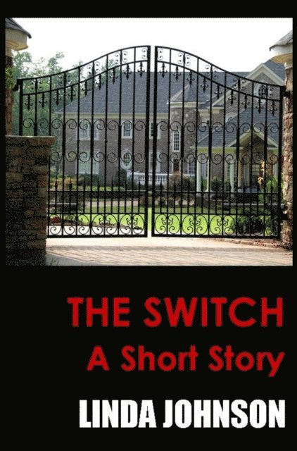 Linda Johnson - Switch - A Short Story, E-bok