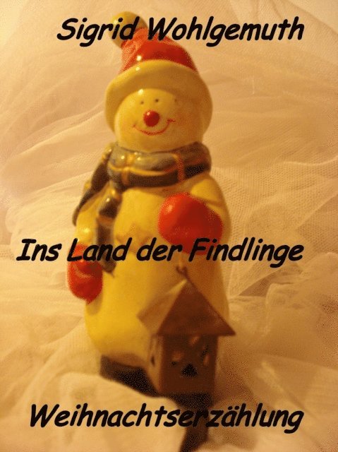 Sigrid Wohlgemuth - Ins Land der Findlinge, E-bok