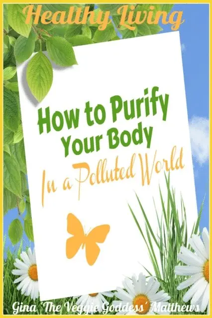 Gina Matthews - Healthy Living: How to Purify Your Body in a Polluted World, E-bok. Tillgänglighet: Lägg i varukorg