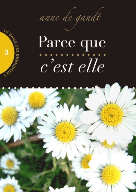 Anne de Gandt - Parce que c'est elle (Saison 3), E-bok