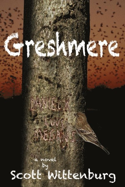 Scott Wittenburg - Greshmere, E-bok
