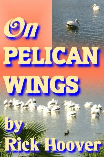 Rick Hoover - On Pelican Wings, E-bok. Tillgänglighet: Lägg i varukorg