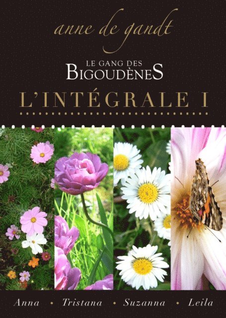 Anne de Gandt - Le Gang des bigoudenes: L'Integrale I, E-bok