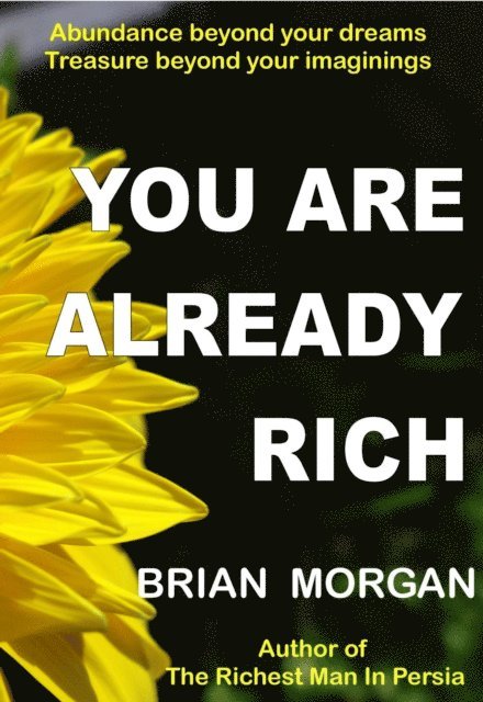 Brian Morgan - You Are Already Rich, E-bok