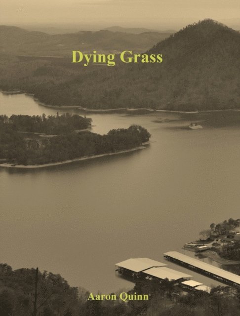 Aaron Quinn - Dying Grass, E-bok