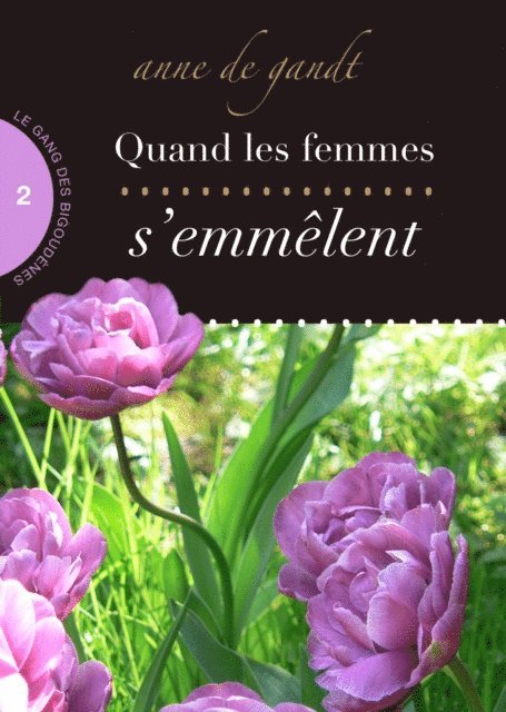 Anne de Gandt - Quand les femmes s'emmelent (Saison 2), E-bok