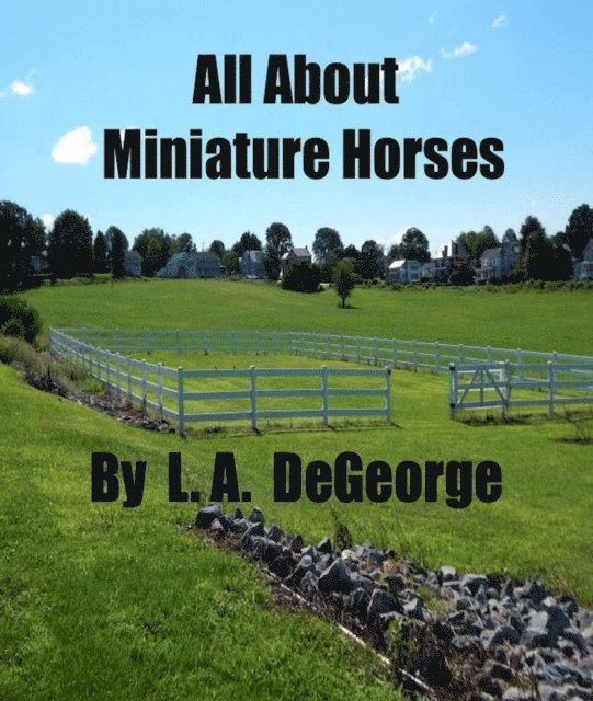 All About Miniature Horses