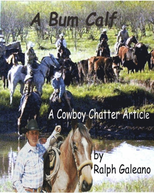 Bum Calf A Cowboy Chatter Article