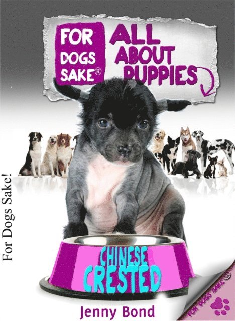 Jenny Bond - All About Chinese Crested Puppies, E-bok. Tillgänglighet: Lägg i varukorg
