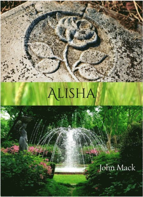 John Mack - Alisha, E-bok