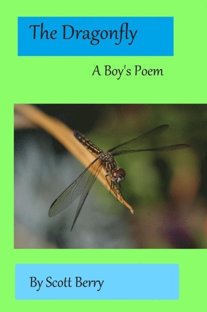 Dragonfly: A Boy's Poem