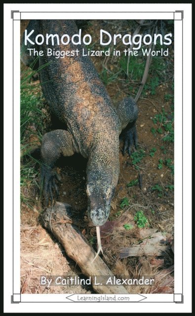 Caitlind L. Alexander - Komodo Dragons: The Biggest Lizard in the World, E-bok. Tillgänglighet: Lägg i varukorg