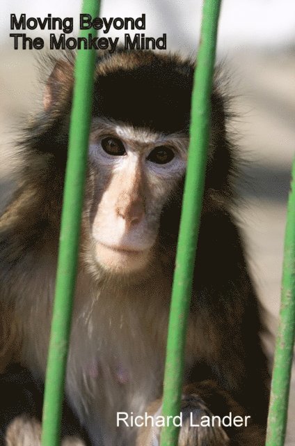 Richard Lander - Moving Beyond The Monkey Mind, E-bok