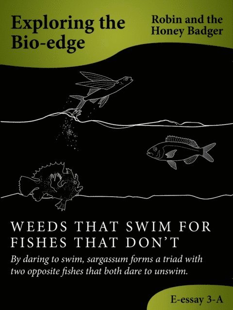 Robin and the Honey Badger - Weeds That Swim For Fishes That Don't, E-bok. Tillgänglighet: Lägg i varukorg