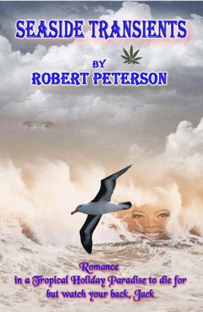 Robert Peterson - Seaside Transients, E-bok