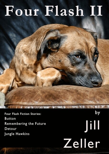 Jill Zeller - Four Flash II, E-bok