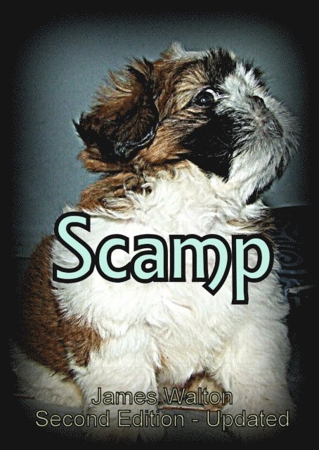James Walton - Scamp, E-bok