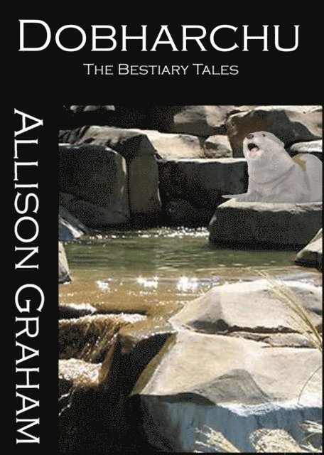 Allison Graham - Dobharchu, E-bok