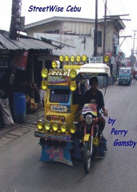 Perry Gamsby - StreetWise Cebu, E-bok