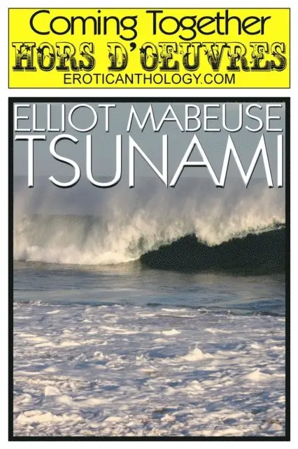 Elliott Mabeuse - Tsunami, E-bok. Tillgänglighet: Lägg i varukorg