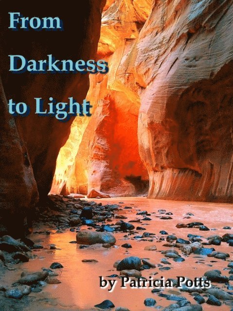 Patricia Potts - From Darkness to Light, E-bok