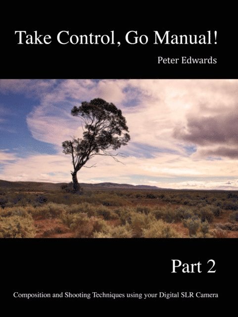 Peter Edwards - Take Control, Go Manual Part 2, E-bok