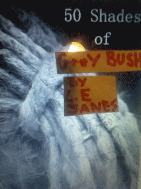 L.E. Janes - Fifty Shades of Grey Bush, E-bok
