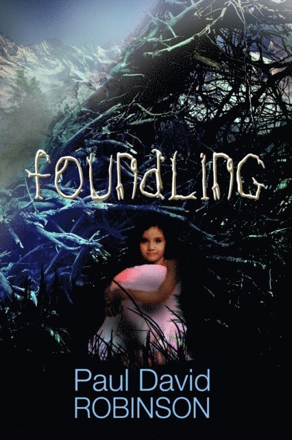 Paul David Robinson - Foundling, E-bok