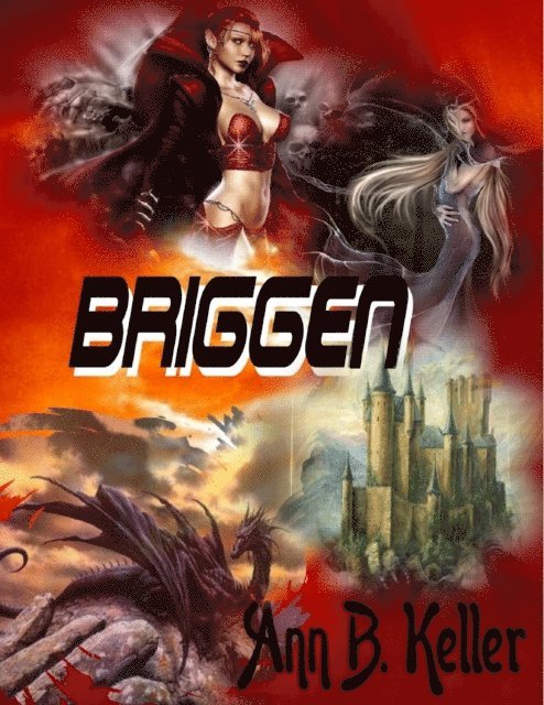 Ann B. Keller - Briggen, E-bok