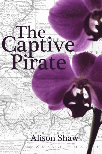 Alison Shaw - Captive Pirate, E-bok