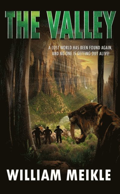 William Meikle - Valley, E-bok