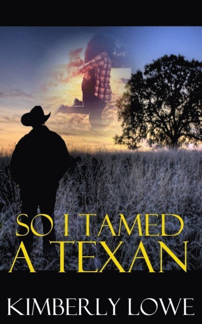 Kimberly Lowe - So I Tamed a Texan, E-bok