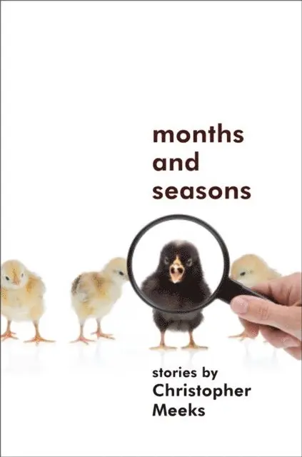 Christopher Meeks - Months and Seasons, E-bok. Tillgänglighet: Lägg i varukorg